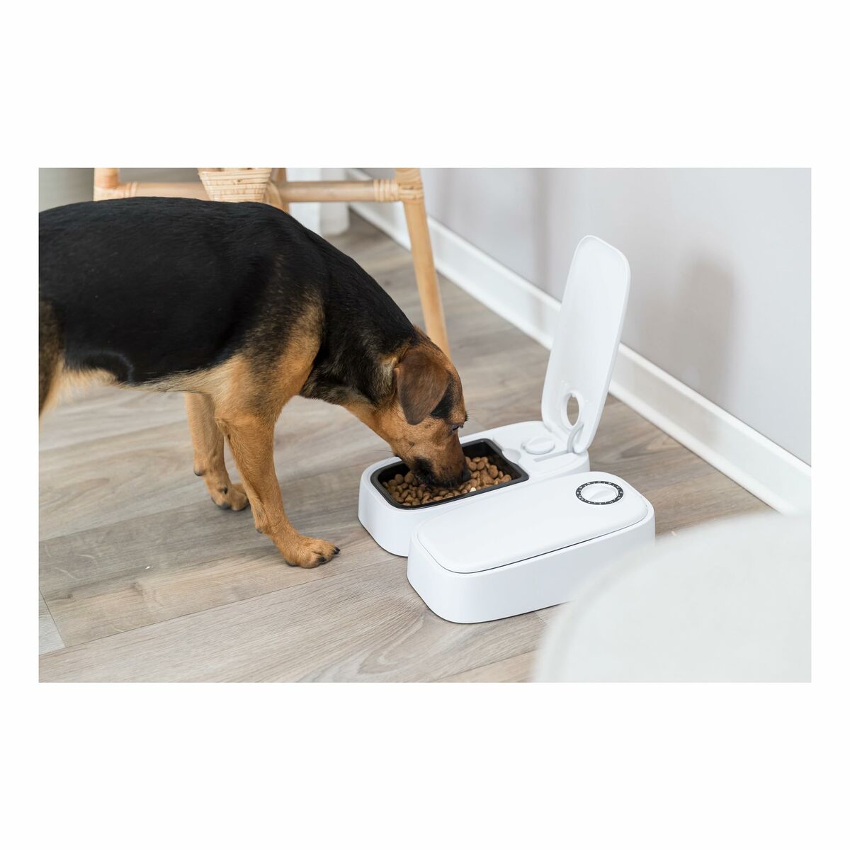 V1H5879EFF7B2B2E1F9C6B451132583F36DRP9