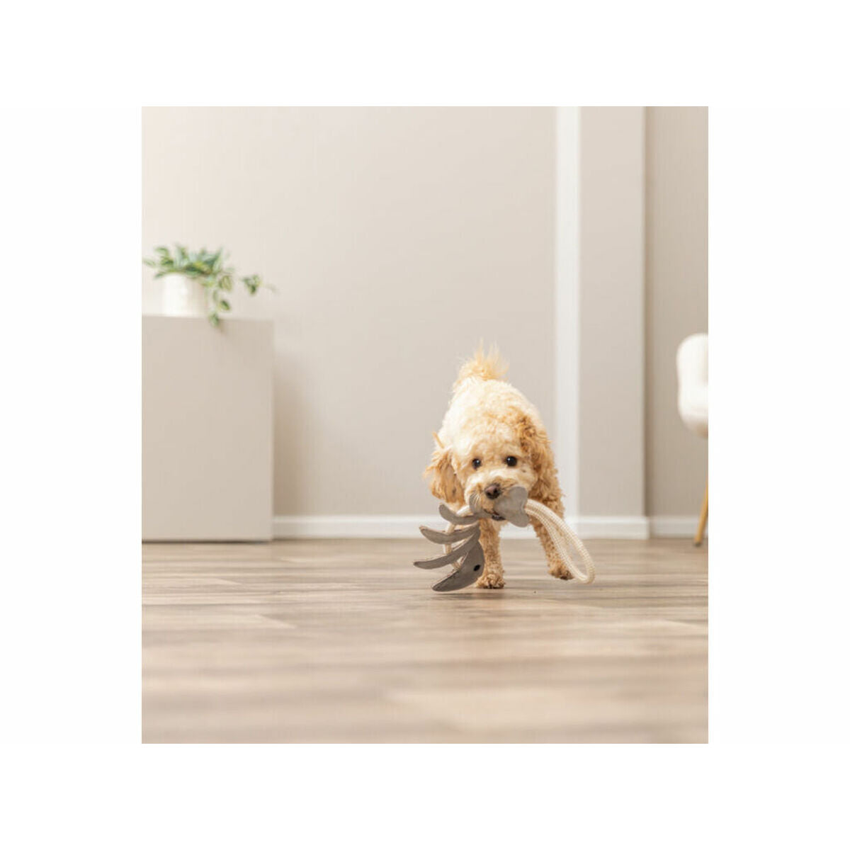 V2H790FC63176575E976A208F4DE560DAE4R7213898P5