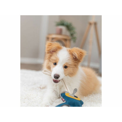 V2HDA5D74E32F42556FAC0B3E2CB606707AR7218214P7