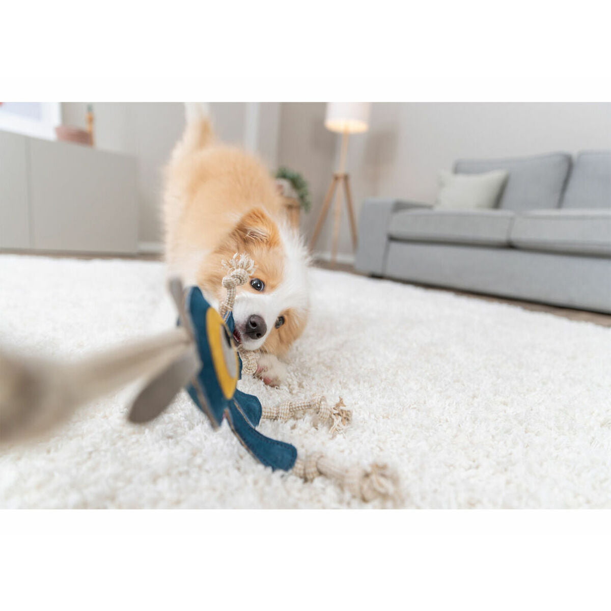 V2HBC5644EA15BA7E6A42B08A82DA51067AR7218217P9