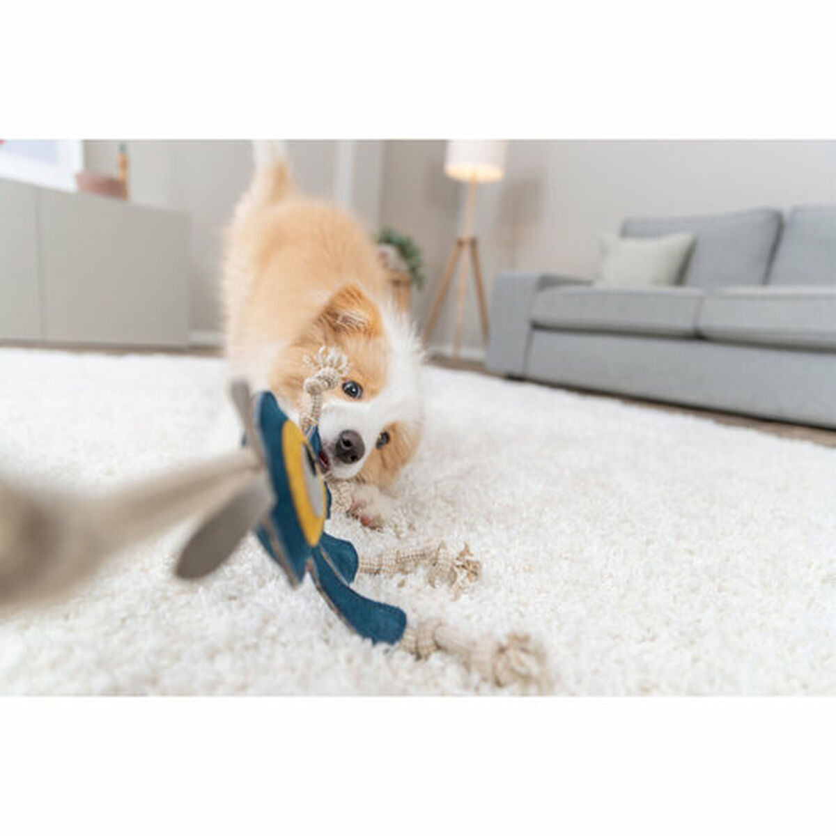 V2H71A5989F4FE72CDB45C65597D1AB3B3AR7218218P10