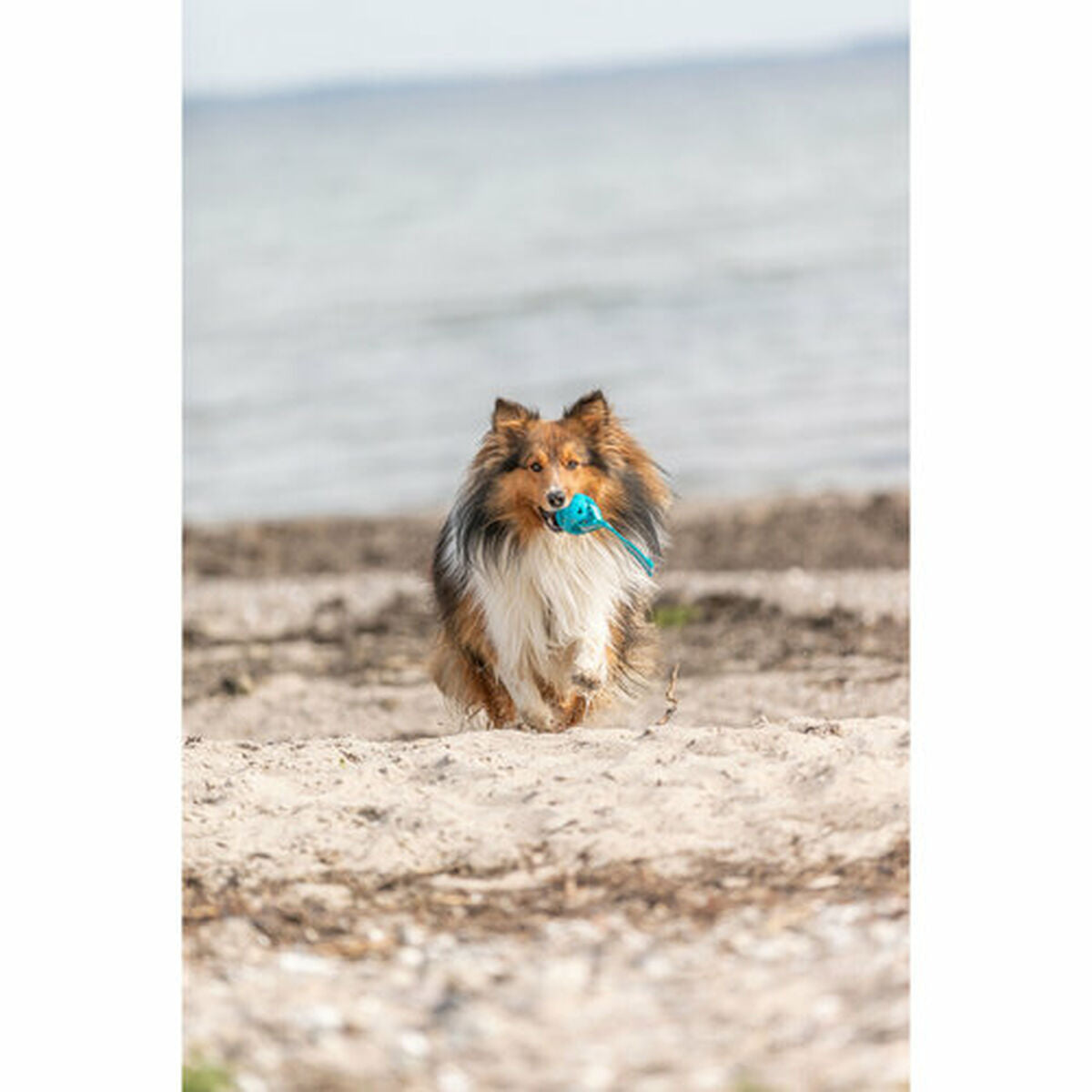 V1HA724EFB73F5582738A0EDD4075AED45ERP8