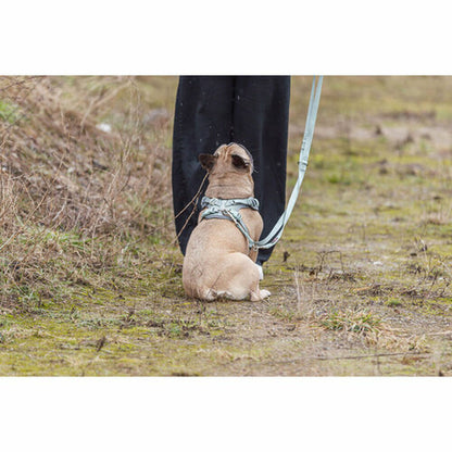 V2H55D6A4842B0B56DA92E6FA0E978B664FR7252233P6