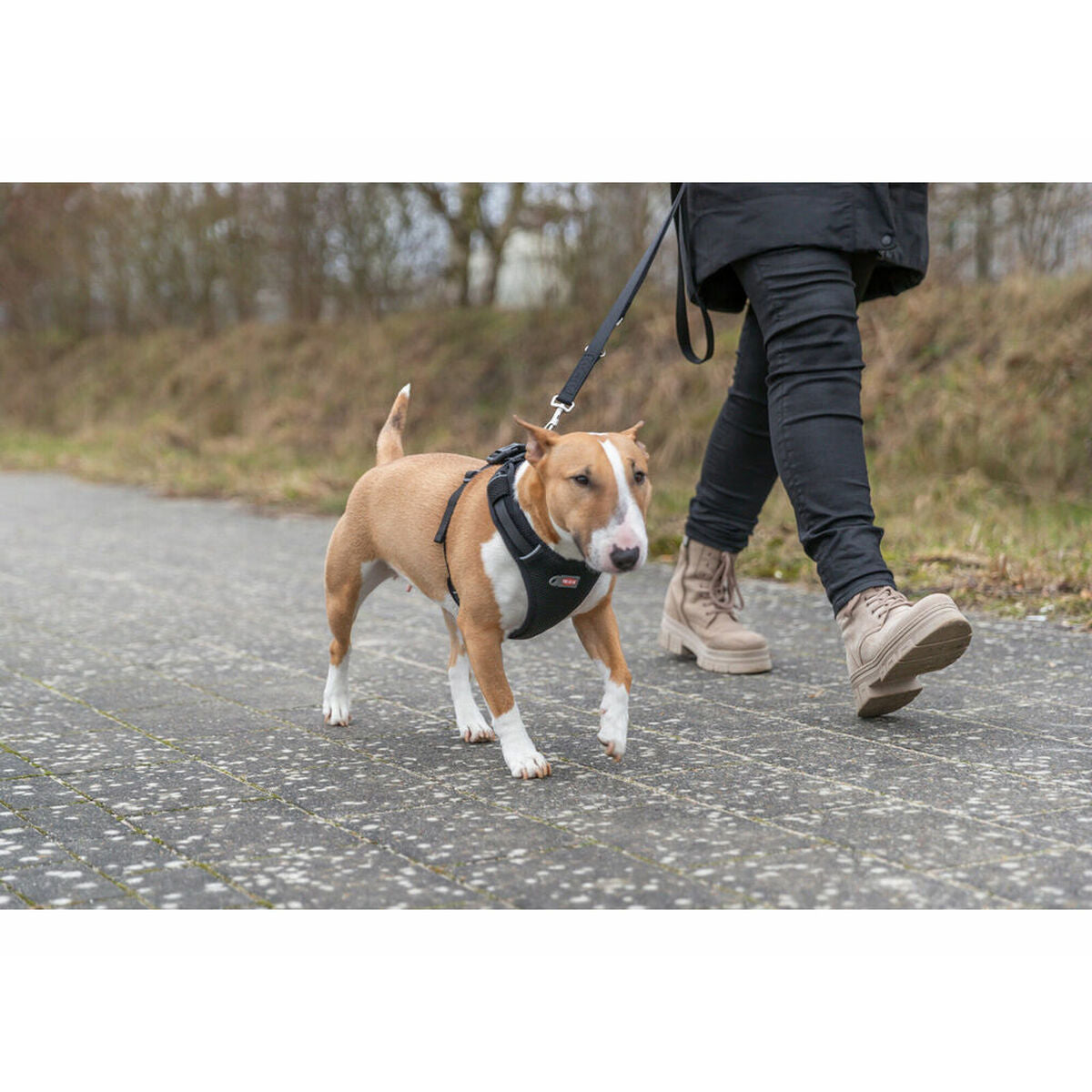 V2H7EA3106AD4ED7B9D51B0DA5B0DC7D080R7252091P7