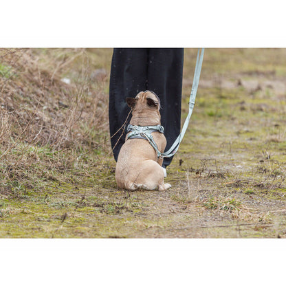 V2H72C6BE1427F98AF88C7201F8EEED3215R7252472P5