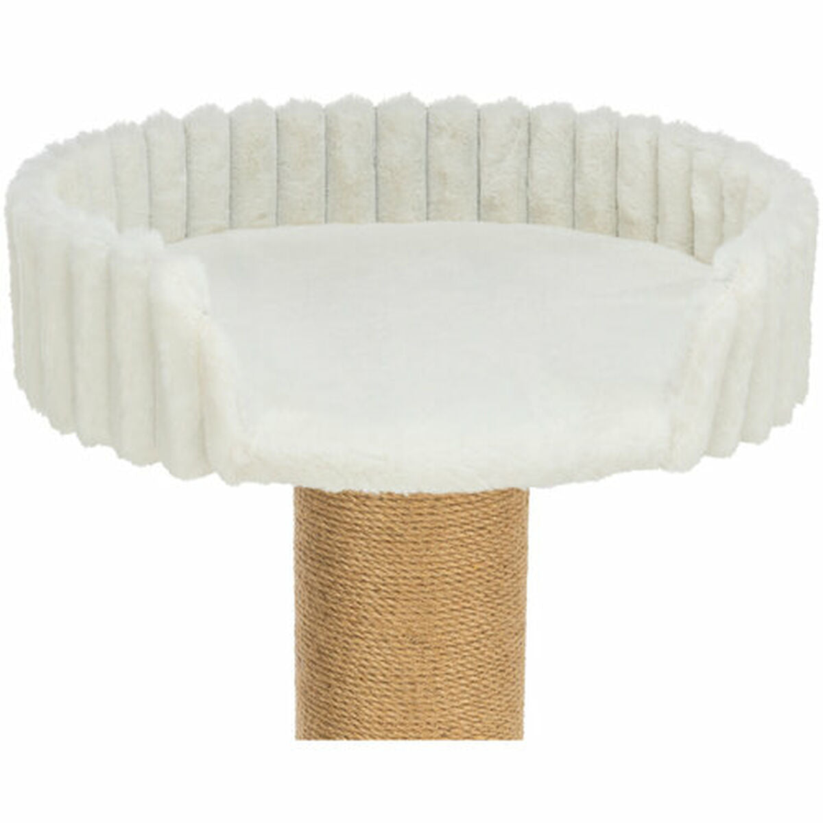 V1H9262492E0CE05B56779EE241E2C533C4RP10