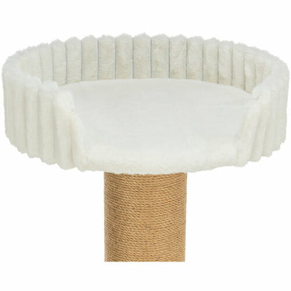 V1H9262492E0CE05B56779EE241E2C533C4RP10