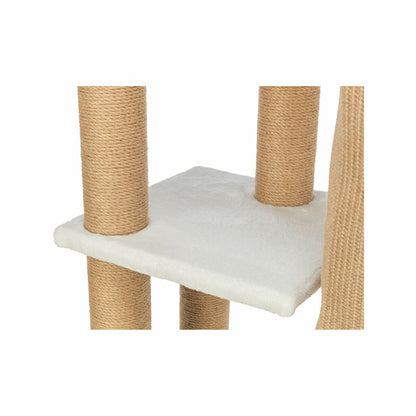 V1H7E49A06481EA4C006F5613FC2A13C5ECRP9