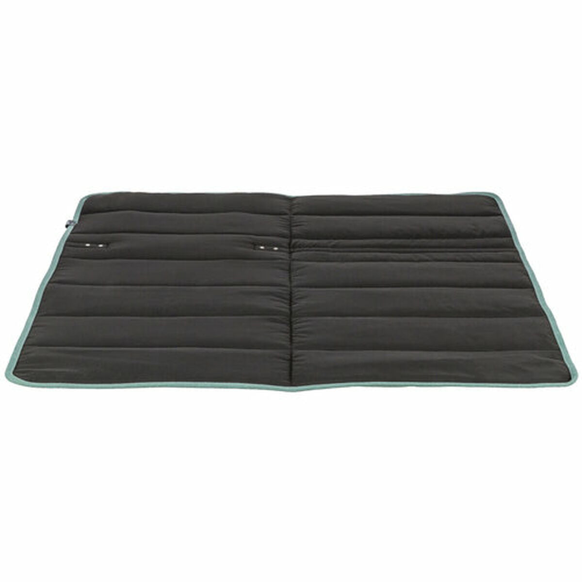 V2HB9F12D61EC2CF4C8983DB825D9F77385R7267729P8