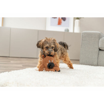 V2HE3F41E43C9311021C3A736221E1DB660R7255977P5