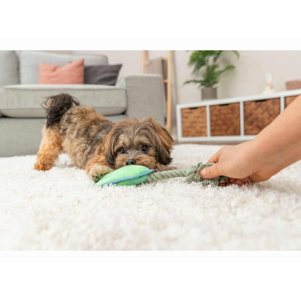 V1HA6F554FD88B6DD9F16B2408AF44017A1RP5