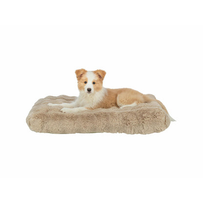 V2H9FD3C4990B4600592C80BD38EB4BD150R7422720P3