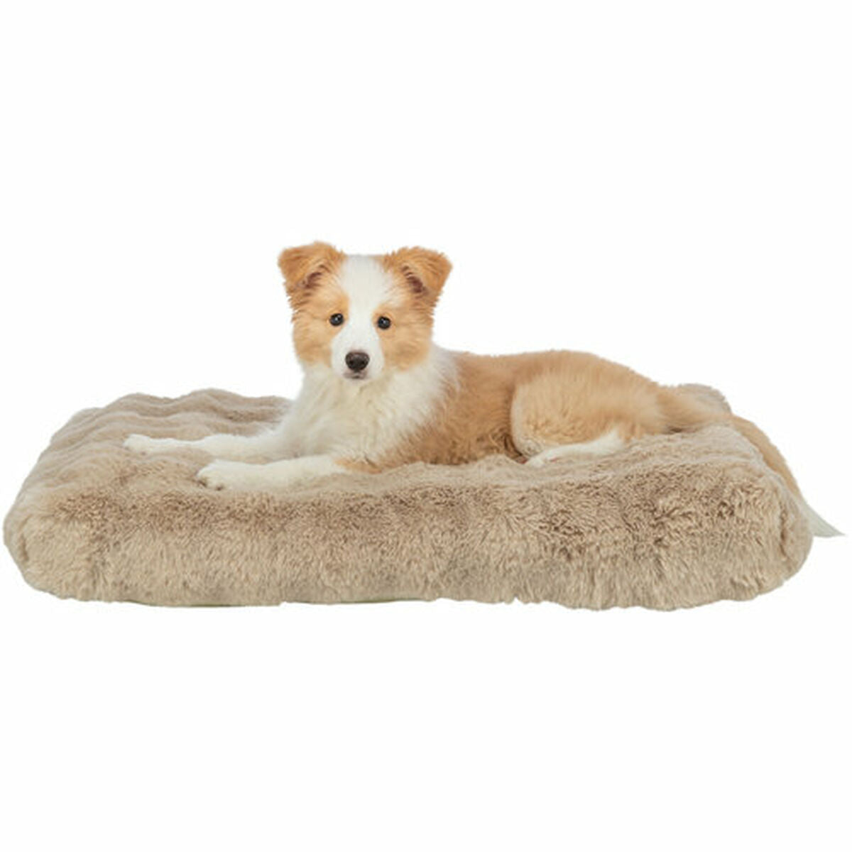 V2H9E1E19A8B53BE94EE911ABEDA50A47B5R7422722P4