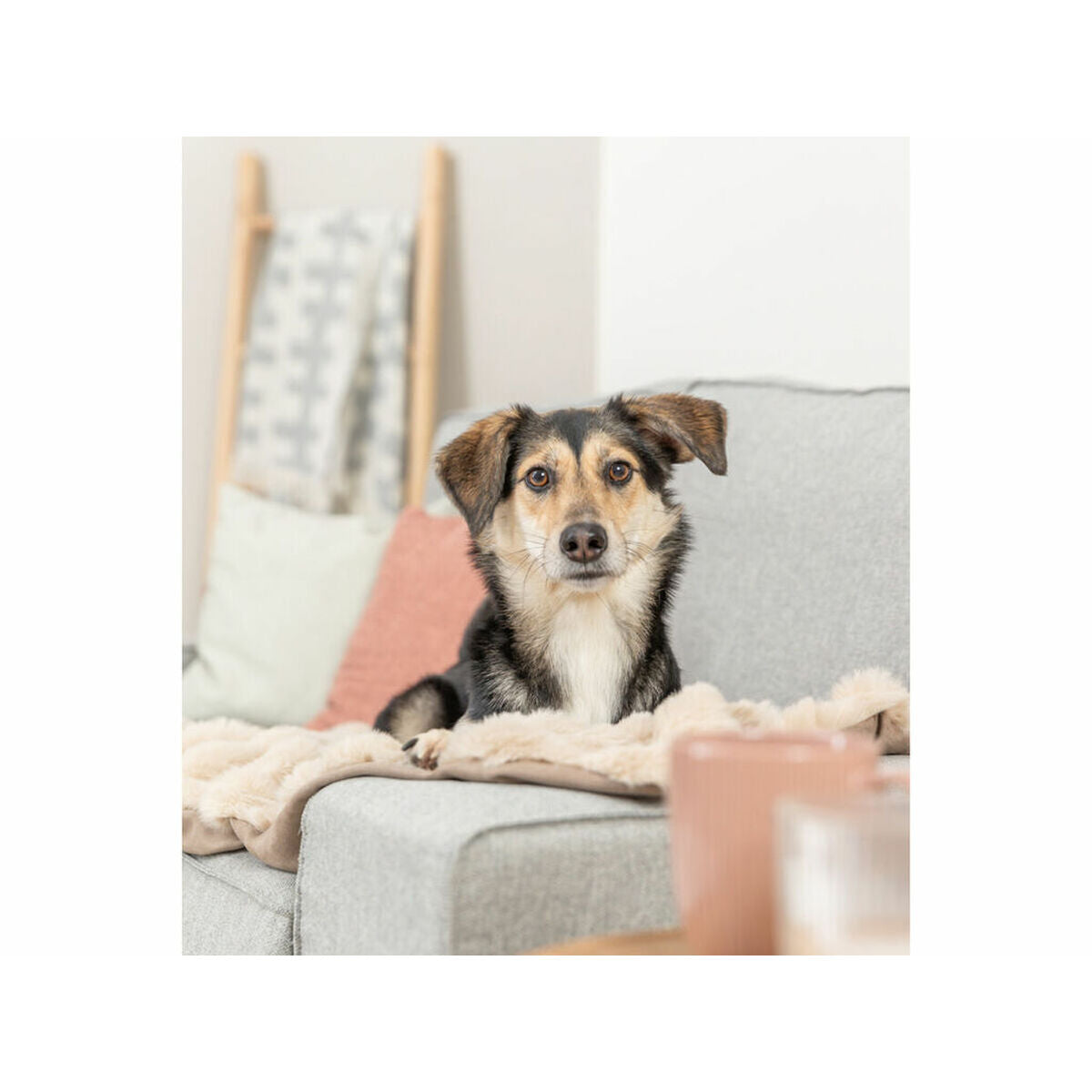 V2H4A6EB9B489FDFEA41BA812BE4BC0AFEDR7269196P3