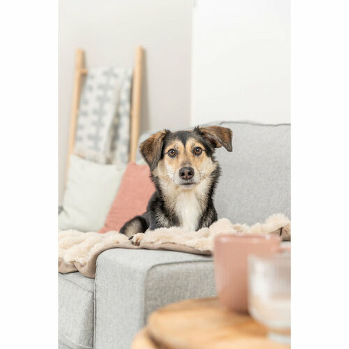 V2HCF2D7FEB0344FB6709C39122E6A406B7R7269197P4