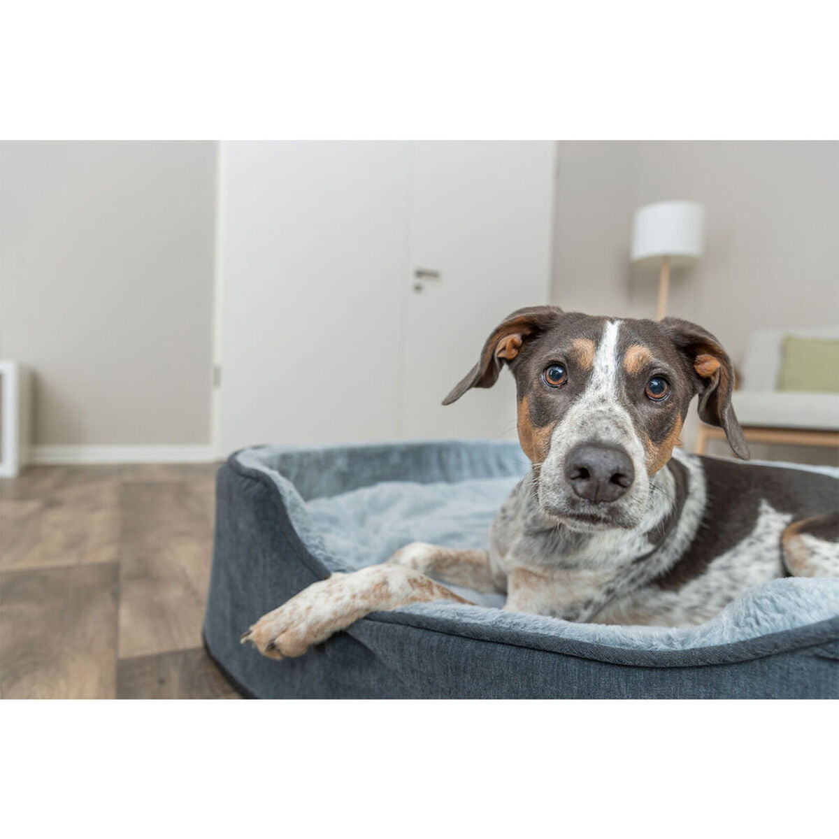 V2H539618F588FF2DBF063B843DF7D422E6R7472424P7