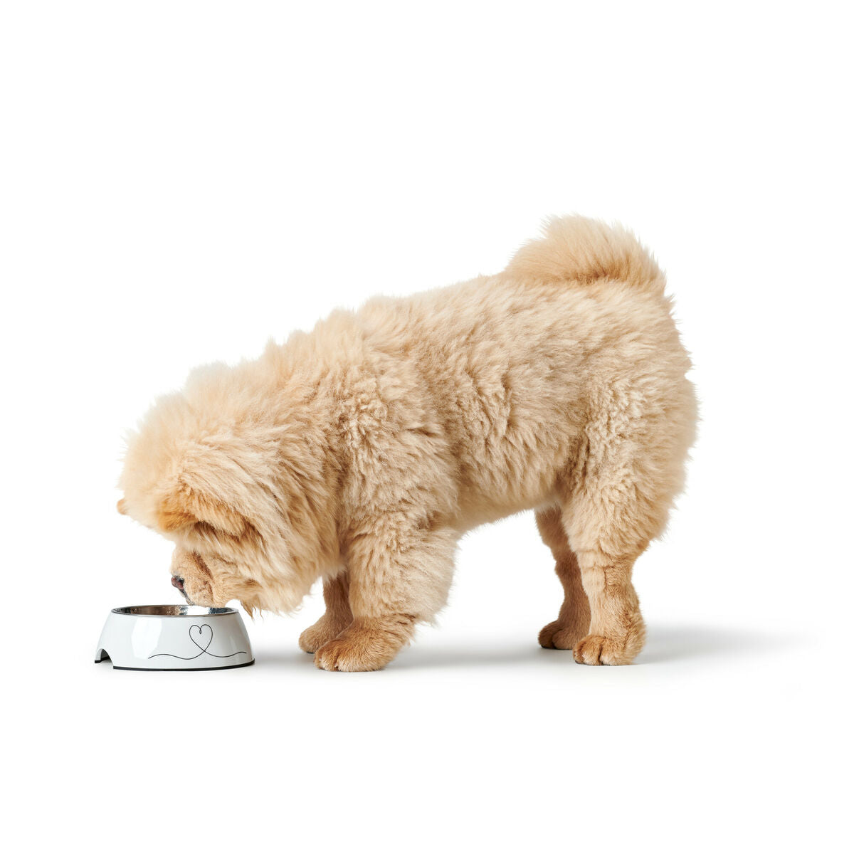 V2H858F0FDEE8352DE2CBD7F9C5843254AER5574370P2