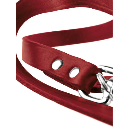 Dog Lead Hunter Red 2 m Adjustable Leather - Hilman kauppa