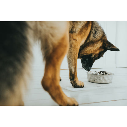 Dog Feeder Hunter Silicone Stainless steel 1,05 L - Hilman kauppa