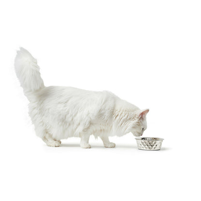 Dog Feeder Hunter Silicone Stainless steel 1,75 L - Hilman kauppa