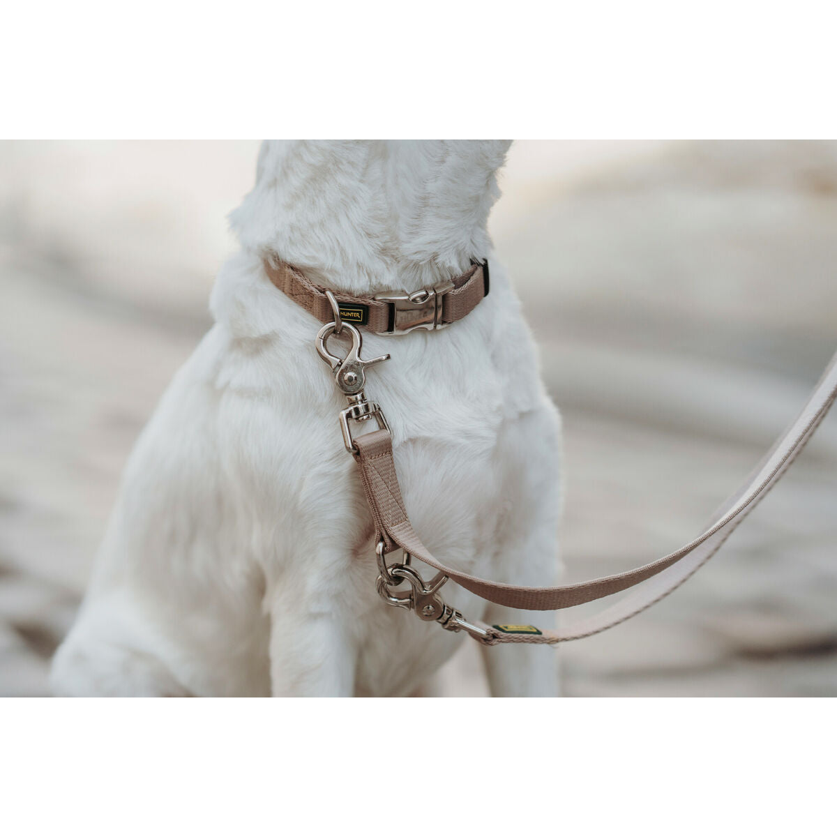 Dog collar Hunter Inari Beige M 30-45 cm - Hilman kauppa