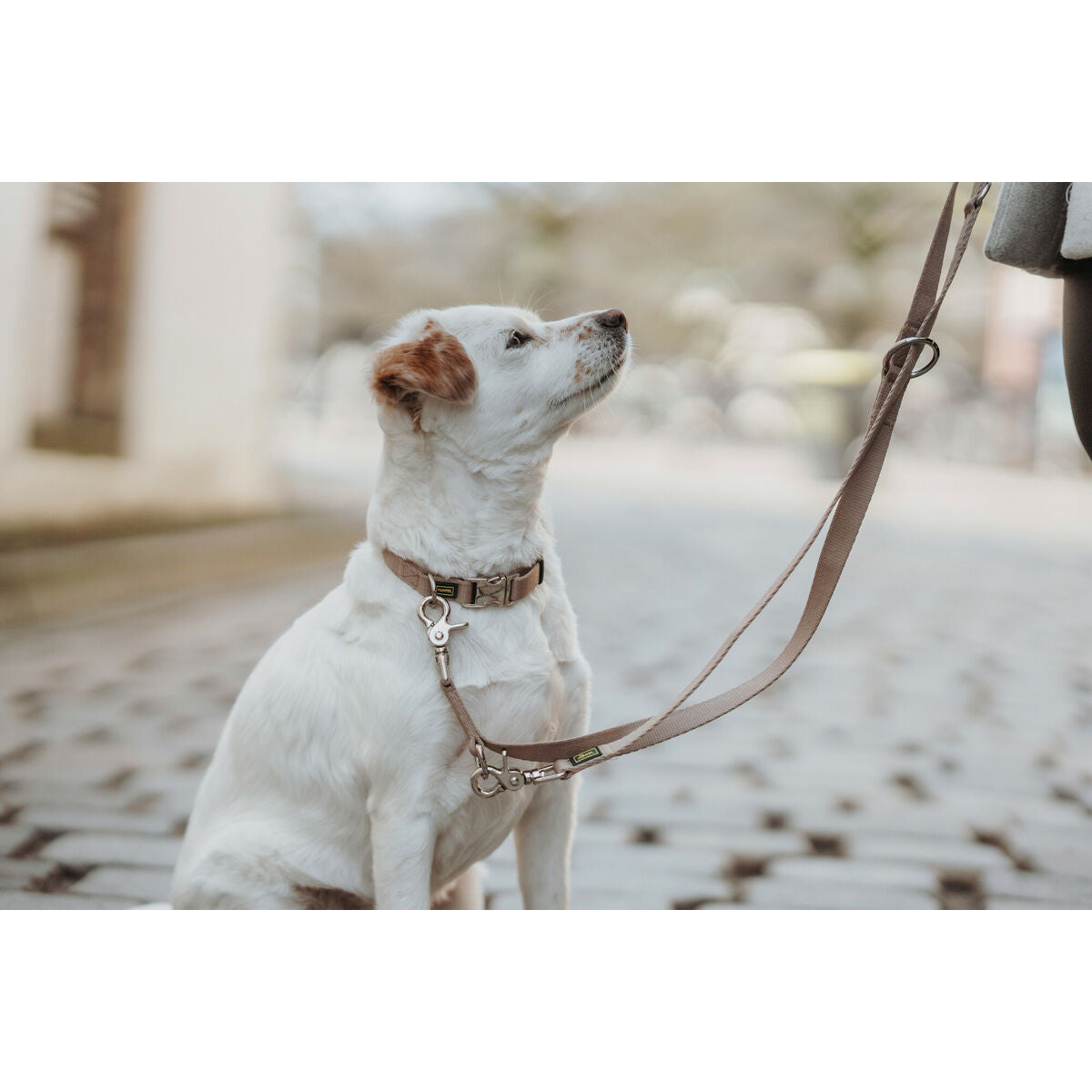 V1H5C0BF7A7BF373708A82B62E8899F78D8RP4