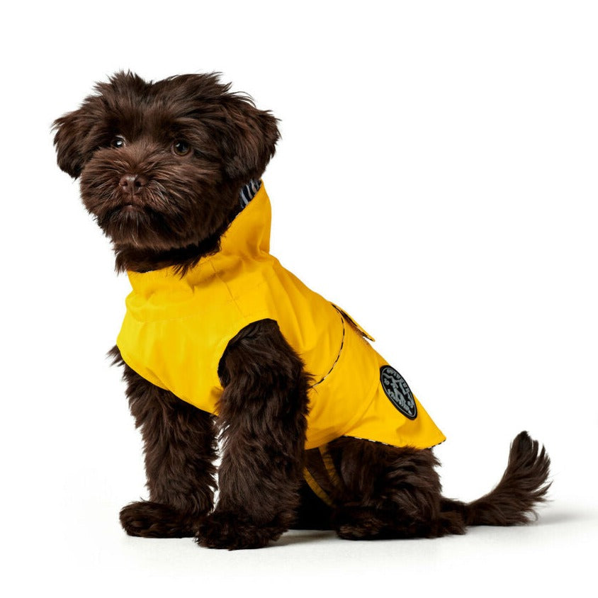 Dog Coat Hunter Milford Yellow 25 cm - Hilman kauppa