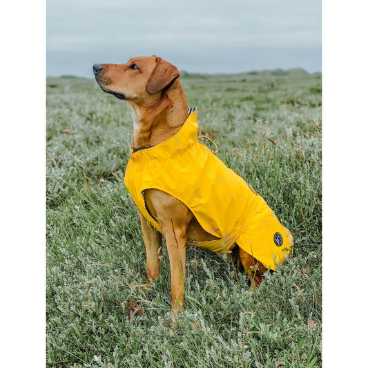 Dog Coat Hunter Milford Yellow 40 cm - Hilman kauppa