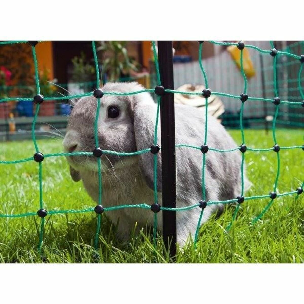 V1H3997F76B5E3FDF8C9717D0F2AA9810DBRP3