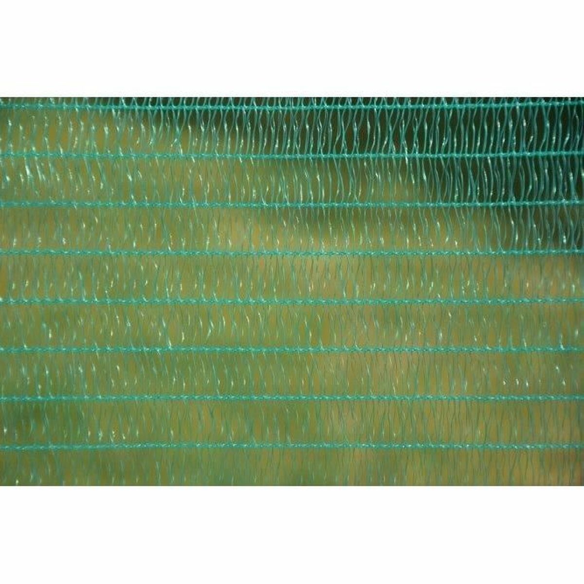 V1H98644BBF75F5E1D69499B40EE2B9E529RP5