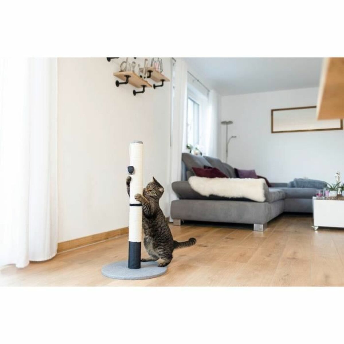 V1HBB492404D080BA2C8D4940FD87853586RP4