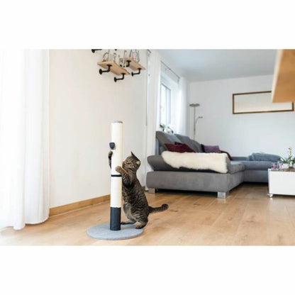 V1HBB492404D080BA2C8D4940FD87853586RP4