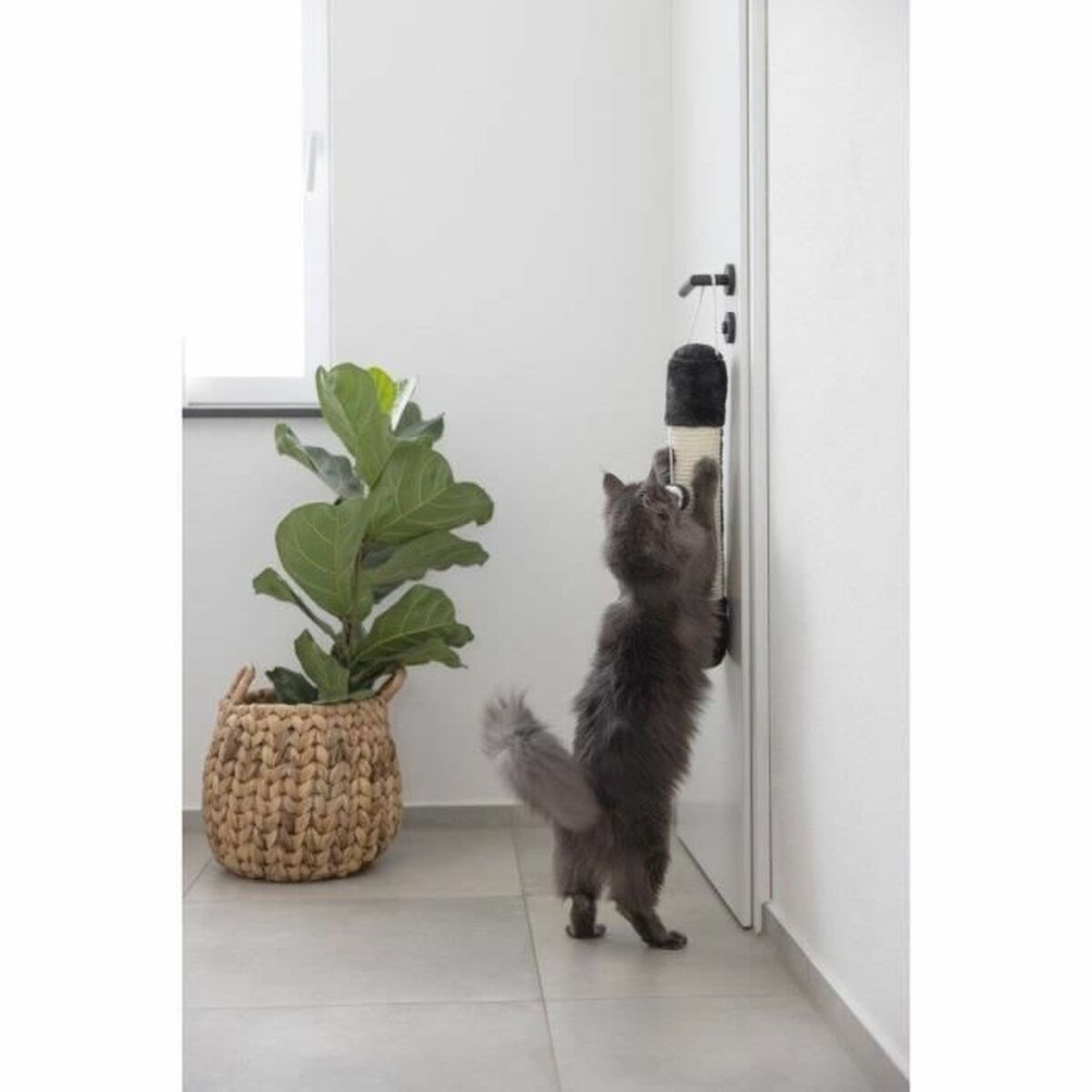 V1H222BC4527BBACDC4FA0DA742120EA68FRP3