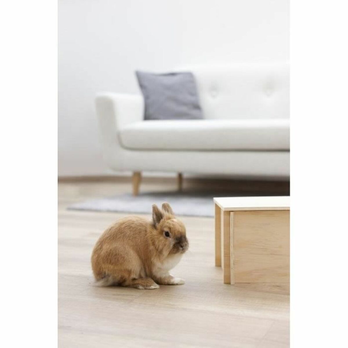 V2H29ACD3D6A6F9DB489B0BDDB03C69072CR5568302P4