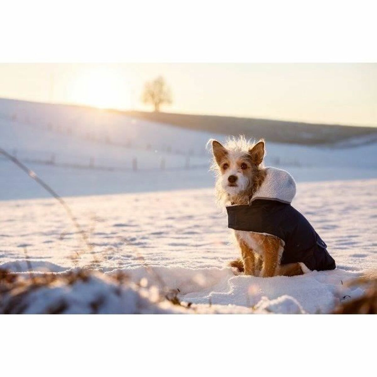 V1HDC11F281169D37B1CA33DB5D9E17B115RP3