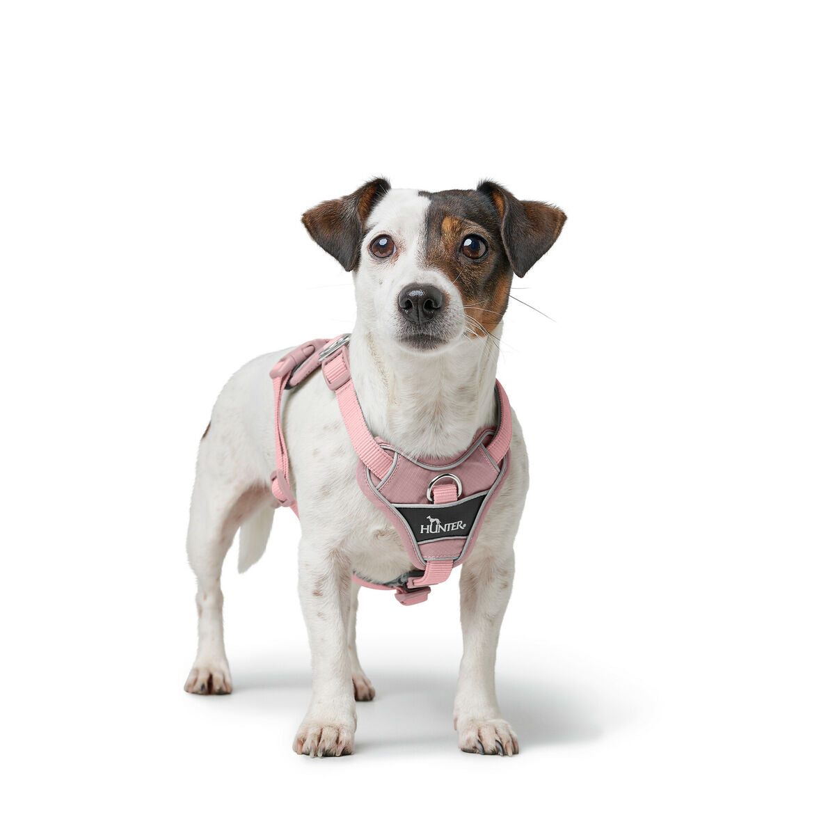V2H40BE13D52A73E88DC9B743E0488466F2R5575552P4