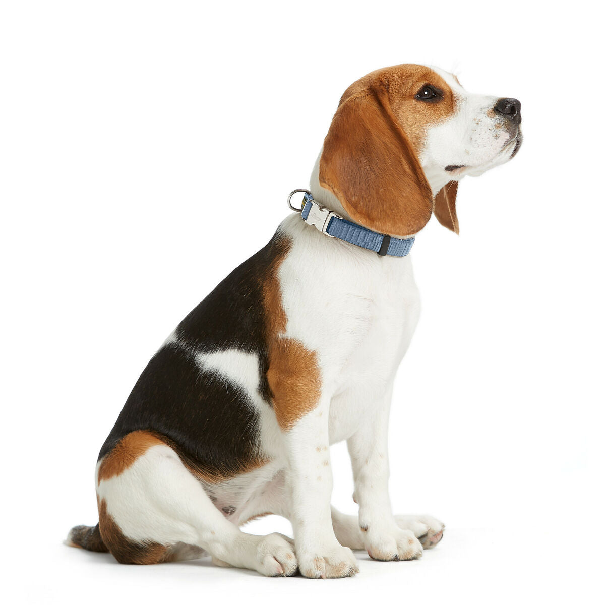 V1H870103CE8310264D8CA92AB73135A367RP2