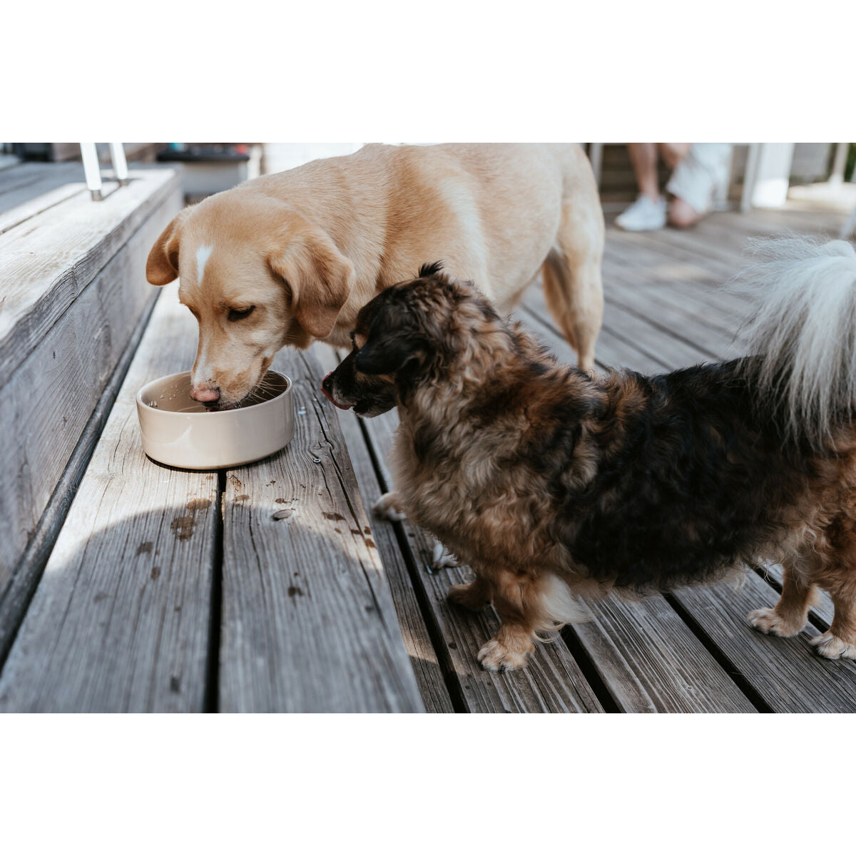 V2H9C491FC5EBBC1C80ECFD09EF5B736195R5574413P3