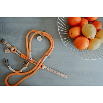 V1HCBB3CC2FA72EDB34E55A4F3A1E71518FRP6