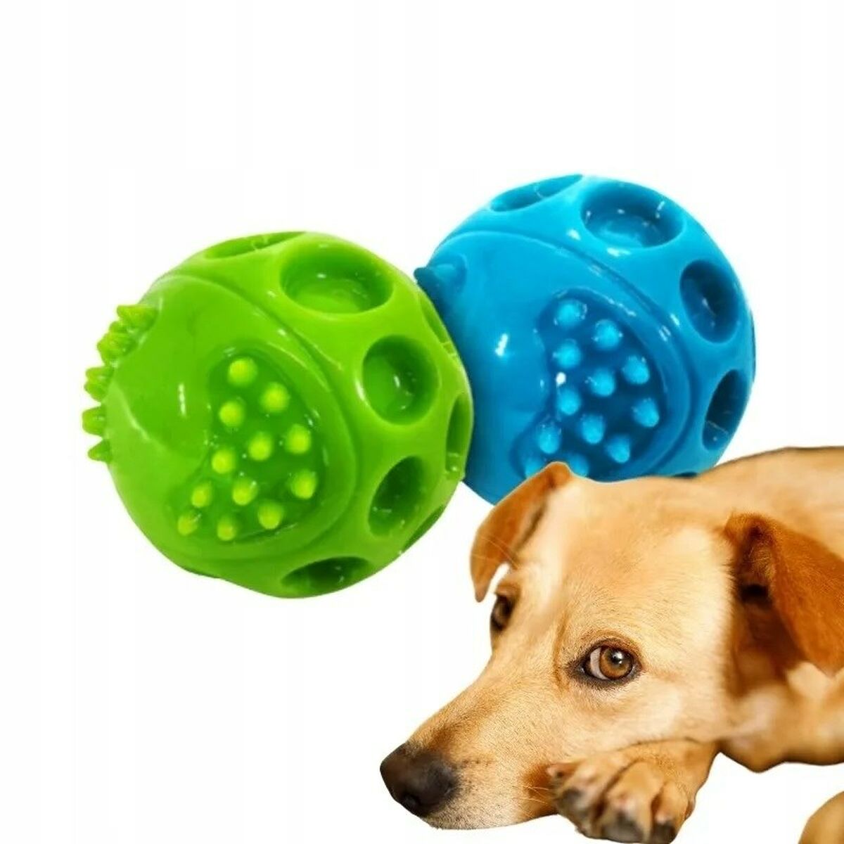 Dog toy Hilton 104-404012-00 Blue Green Natural rubber (1 Piece) - Hilman kauppa