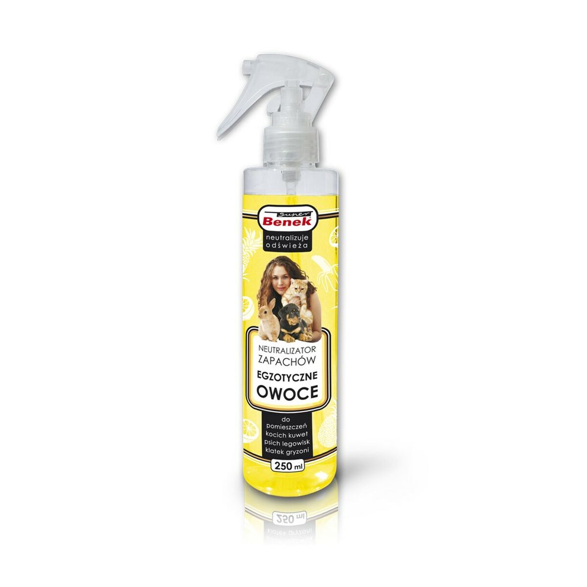 Odour eliminator Certech 16694 Anti-stain 250 ml - Hilman kauppa