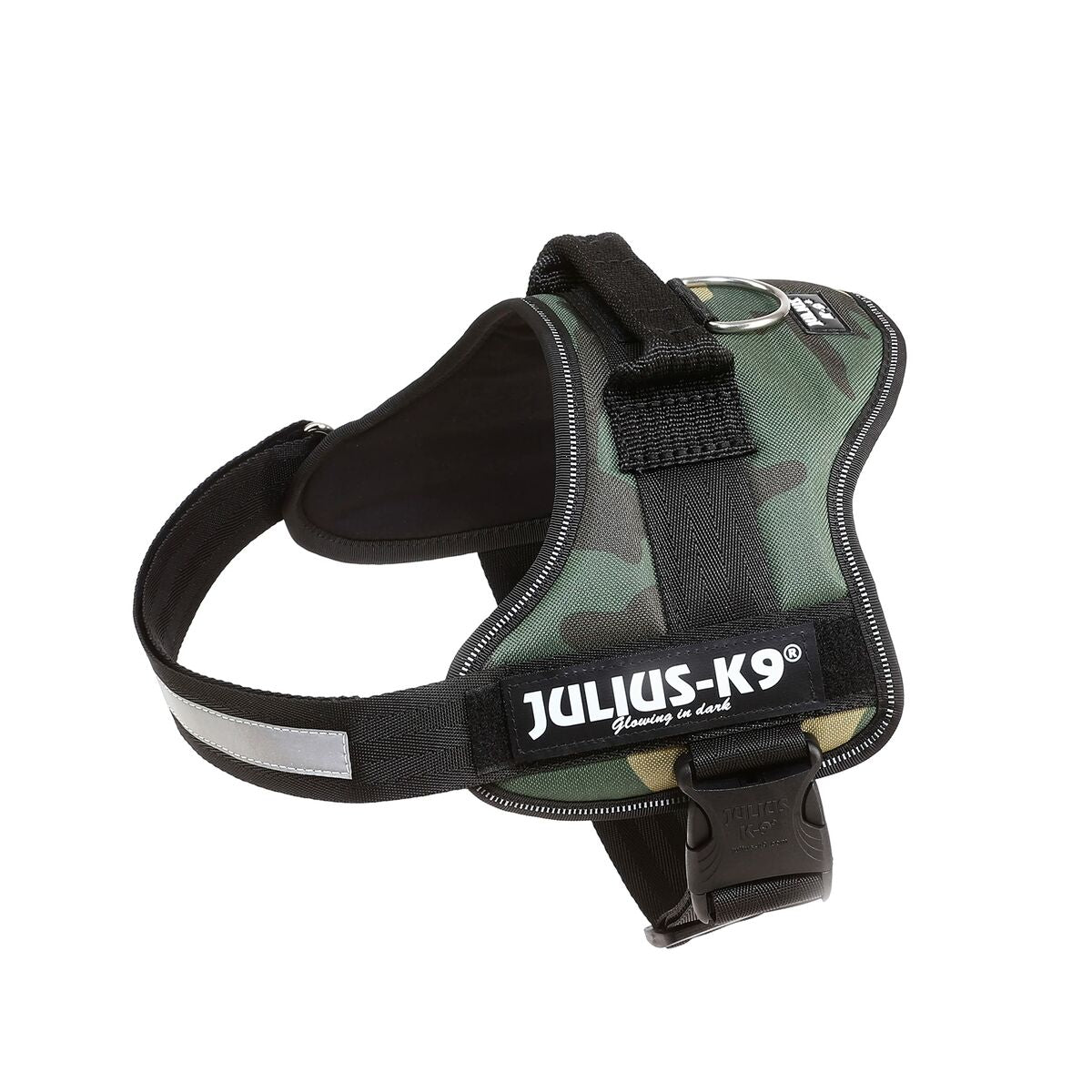 V1H60781C707FF00B8911C30F86F8C3CED6RP2