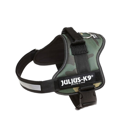 V1H60781C707FF00B8911C30F86F8C3CED6RP2