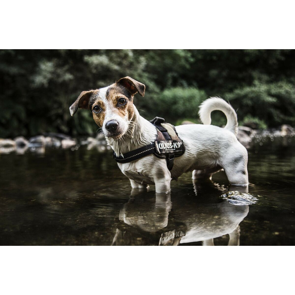 V1H61B1CA366E8C39F525937AC2BB5B0891RP8