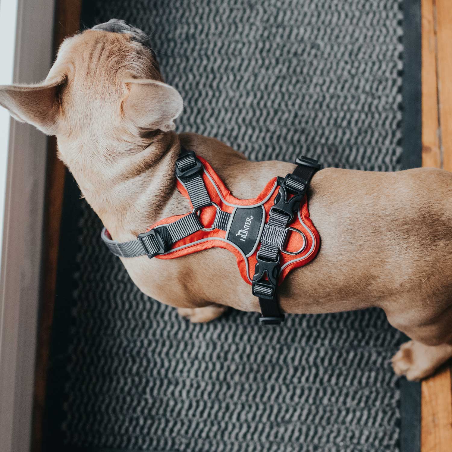 Dog Harness Hunter Divo Red Grey Reflective Size L (72-100 cm) - Hilman kauppa