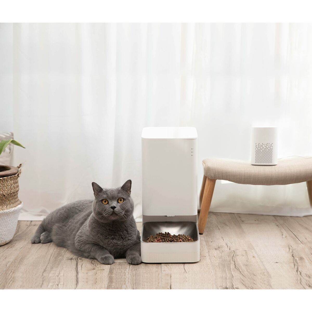 Automatic feeder Xiaomi XMI-BHR6143EU White 1,8 kg Silicone Stainless steel - Hilman kauppa