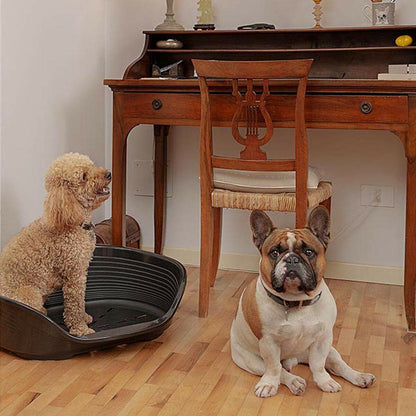 V3H94E6707A1C547622F211B62D576422D9R3364690P6