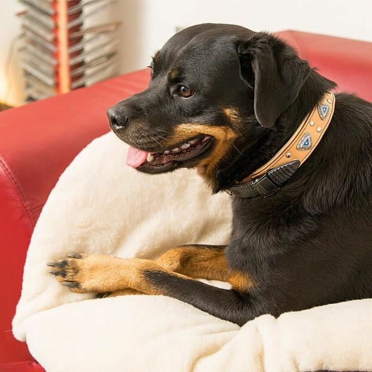 V1HC3A4F1D5C0F885B2FC3EF649C555C816RP2