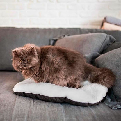 V1H9A444F80DCDFABB9606282FD47CF54C9RP4