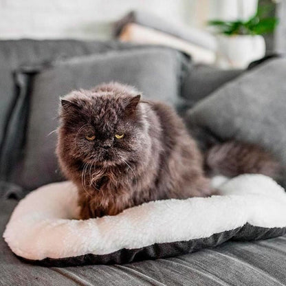 V1H0B3A05F66B99762A29448A2136FEA4EDRP5